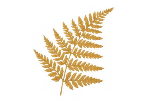 Golden fern leaf botanical frond, transparent background
