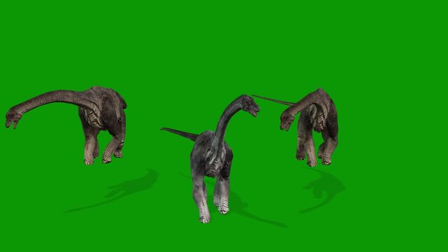 Multiple Carnotaurus Dinosaurs  Animation on Green Screen  Realistic 3D Prehistoric Creature  4K VFX Clip