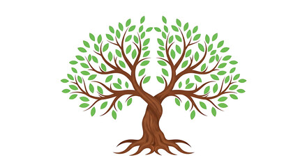 Fototapeta premium Illustration of a tree with green leaves isolated on white background