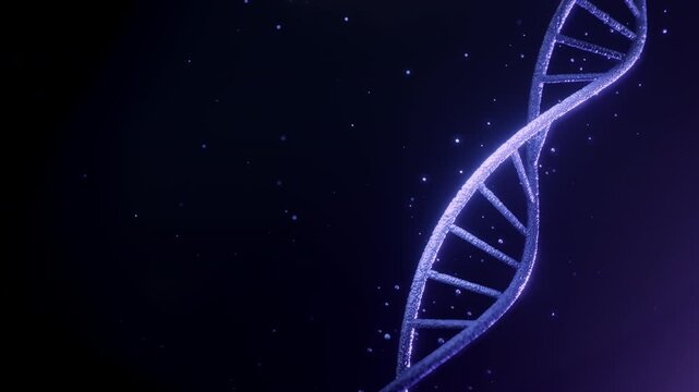 4k 3D Animation of Purple DNA structure with glowing particles. Medical science and genetic biotechnology concept.  3D rendering, Motion graphic.