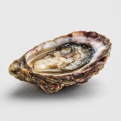 Opened oyster with liquor in textured shell