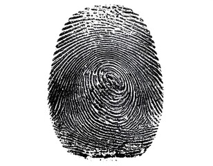 A grayscale fingerprint impression with intricate ridges and whorls