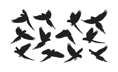 Obraz premium set of silhouettes of birds
