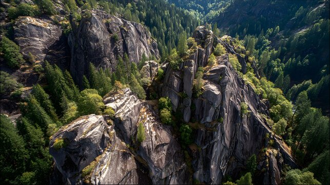 Steep granite cliffs rise dramatically above a dense, verdant forest canopy in a rugged canyon.