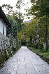 滋賀坂本の市街の風景