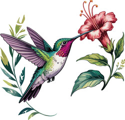 Hummingbird and Flower Vector – Colorful Bird Feeding on Hibiscus with Leaves and Blossoms