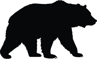 Wild bear silhouette walking side view, black vector illustration of strong forest animal, isolated wildlife design for logo and artwork