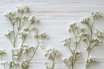 Delicate white baby's breath flowers arranged on a light wood textured surface creating a serene and natural composition
