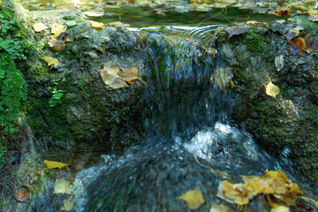 Water flowing over mossy rocks in a forest, surrounded by golden autumn leaves. A peaceful natural scene