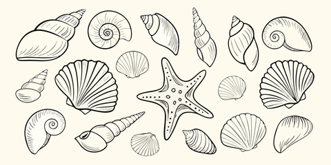 Collection of hand drawn seashells and starfish illustrations on a cream background