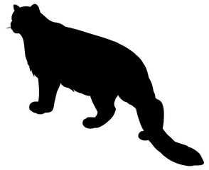 Leopard silhouette