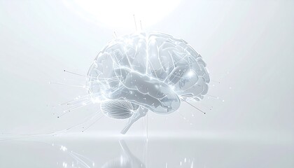 An ultra-photorealistic, minimalist white digital brain with light connections and reflection.