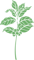 Stylized Green Coffee Plant Illustration with Leaves and Berries.