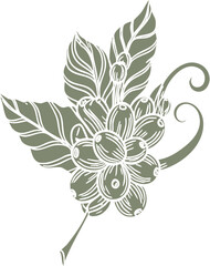 Stylized Coffee Plant Branch Illustration with Beans and Leaves.