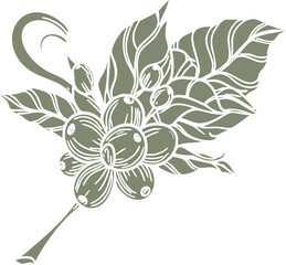 Stylized Coffee Plant Illustration with Beans Leaves and Buds.