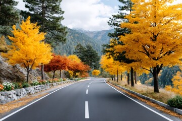 Obraz premium Autumn road winding through colorful mountain forest