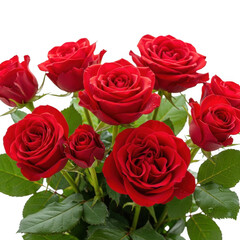 Vibrant red roses bouquet for romantic occasions and celebrations isolated on transparent background