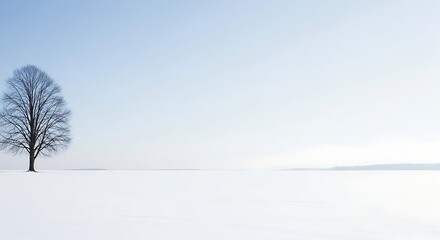 Solitary tree stands in snowcovered field under pale blue winter sky, creating a serene and minimalist landscape, evoking a sense of peace and solitude.