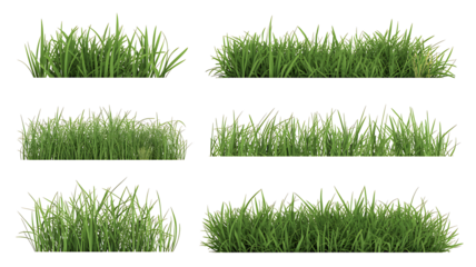 Fresh Green Grass Patches Collection - Isolated Natural Lawn Elements