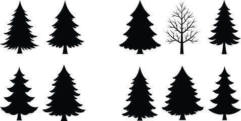Silhouette collection of pine and spruce trees, evergreen forest tree shapes, nature illustration, winter woodland vector design elements