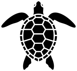 Obraz premium animal illustration cute silhouette turtle logo nature icon cartoon outline wildlife character ocean sea happy tortoise design funny drawing shape women vector graphic background