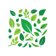 Green leaves vector on white background