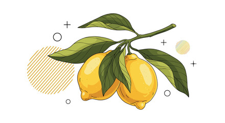 Branch with two ripe lemons and green leaves with abstract shapes on a white background.