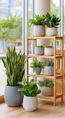 Fototapeta premium Assorted Indoor Potted Plants Arranged on a Wooden Shelf Near a Bright Window with Natural Light and Greenery Outdoors