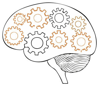 Human brain with gears inside representing intricate thought processes and mental mechanics illustration