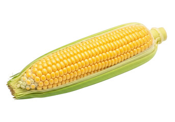 High-resolution corn on the cob image for food bloggers and designers, sweetcorn, maize, corncob, yellow corn, fresh corn, vegetarian, vegan, healthy eating, isolated on transparent background