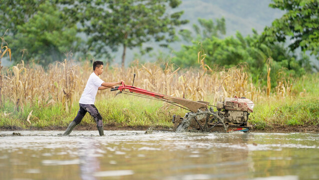 Young indonesian man rice farmer plowing muddy paddy field with hand tractor for planting in rural indonesia, southeast asia - Powered by Adobe