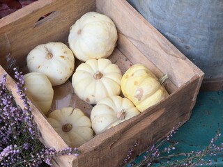 Basket of pumpkins