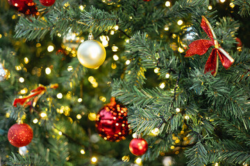 Christmas green tree leaf with bokeh of night light xmas season