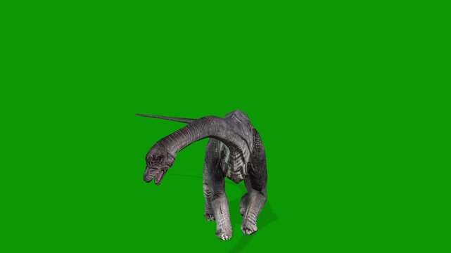 Realistic Carnotaurus idle Front Side on Green Screen Video-Jurassic Dinosaur VFX Clip