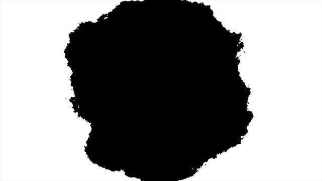 black ink splatter video reveal animation motion graphic HD 4k