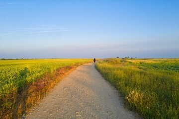 자연 경관 초목 농촌 계절 네이처 하늘 구름
