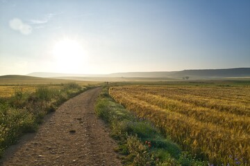 자연 경관 초목 농촌 계절 네이처 하늘 구름