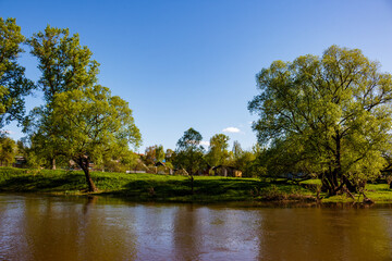 Lush green trees embrace a calm river under a bright blue sky, revealing a serene countryside village. Early May rural landscape, perfect for nature's charm