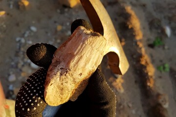 Gloved hand holds a fossilized Chaetetes sp. sponge, unearthed during a sunny field exploration with a trusty geological hammer nearby