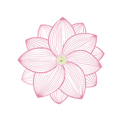 Fototapeta premium Pink line art flower with green center isolated on white background