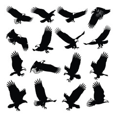 Dynamic silhouette collection of eagles in flight showcasing majestic wing spans and powerful talons silhouette