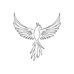 Fototapeta premium Mythical phoenix bird rising with widespread wings, elegant black line art illustration