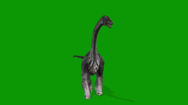 Realistic Carnotaurus Walking Front Green Screen Video