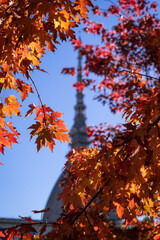 The city of Turin in autumn