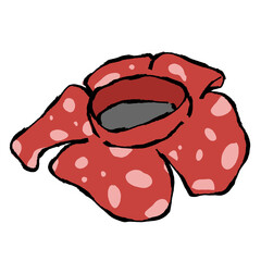 The Largest Flowers in the world : Rafflesia Arnoldii