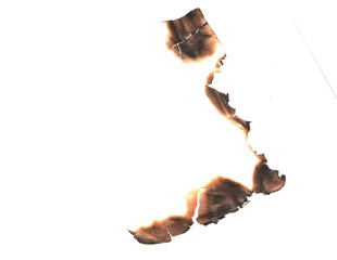 Real Burned Hole in white Paper middle PNG - Scorched Edges, Burnt Texture, Distressed Element, or Grungy Frame Overlay, Burnt paper hole