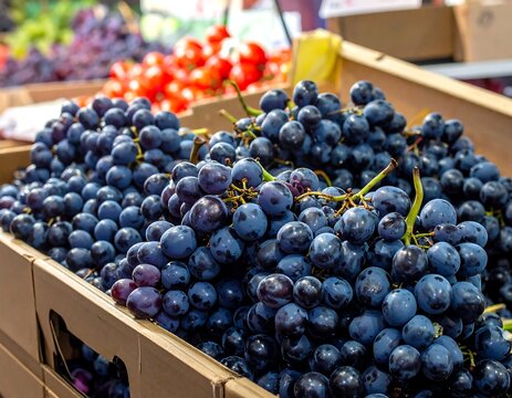 Close-up of ripe, dark-blue grapes in a wooden crate, with red tomatoes - Powered by Adobe