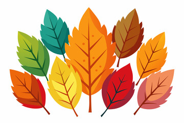 Obraz premium autumn leaves isolated on white