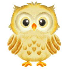 Illustration of a cute cartoon owl