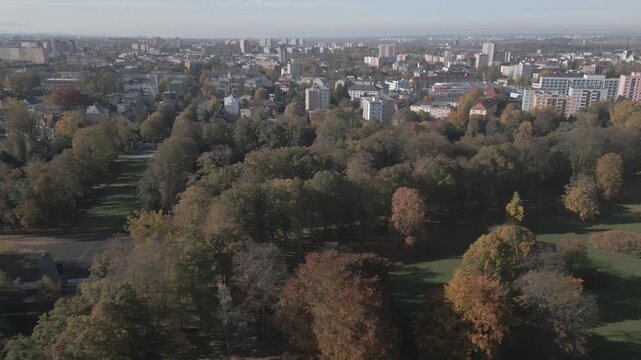 Drone flight over Komensky parkland autumnal trees with city backdrop
